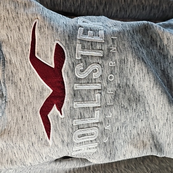 HOLLISTER CALIFORNIA GRAY UNISEX LONG SLEEVE PULLOVER HOODED SWEATSHIRT - Picture 3 of 15